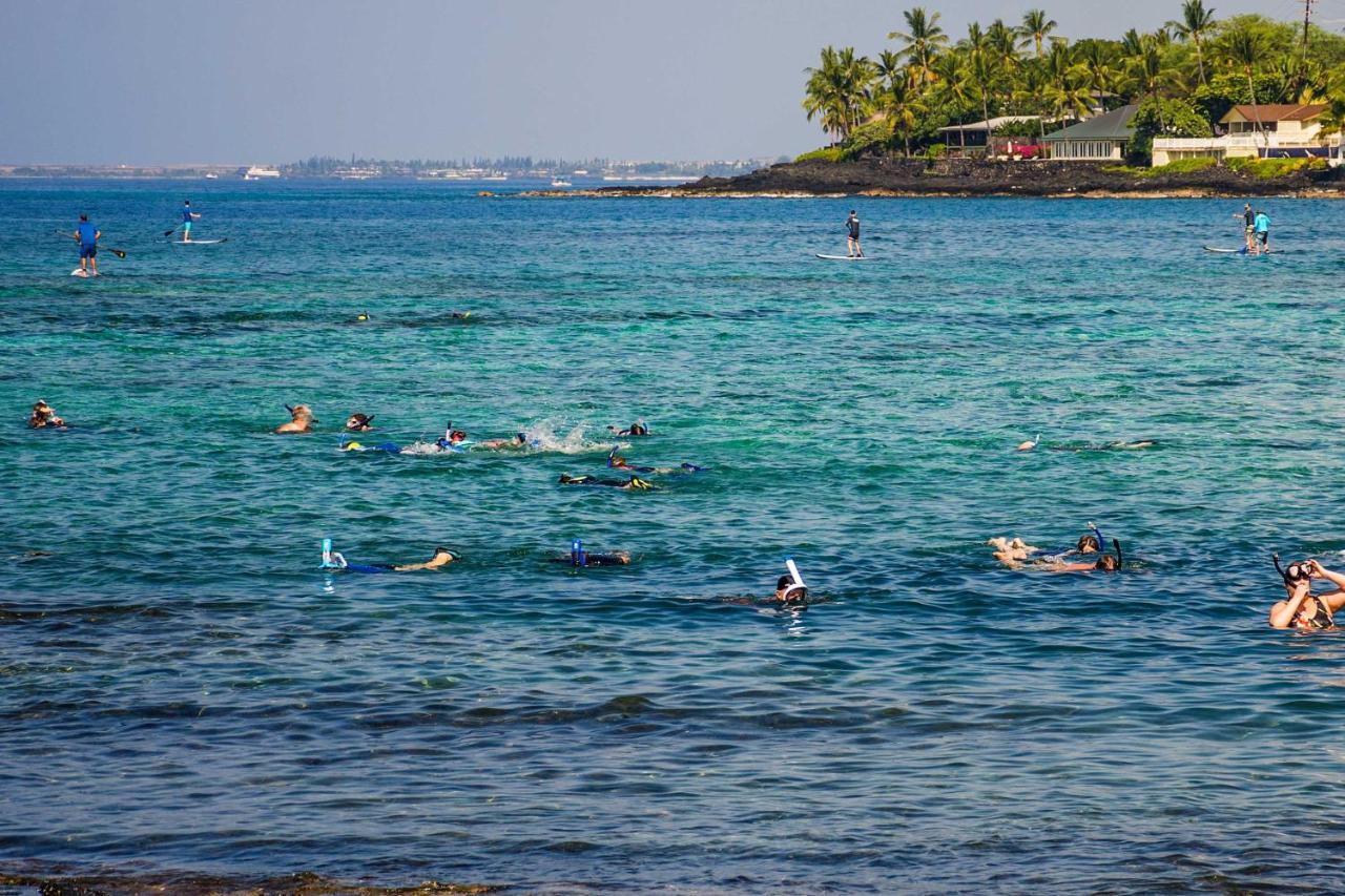 Apartamento Downtown Kona With Pool Access Walk To Beach! Kailua-Kona